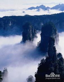 张家界跟团爆料视频播放,真实体验曝光,带你领略自然奇观背后的故事 第3张 张家界跟团爆料视频播放,真实体验曝光,带你领略自然奇观背后的故事 第3张